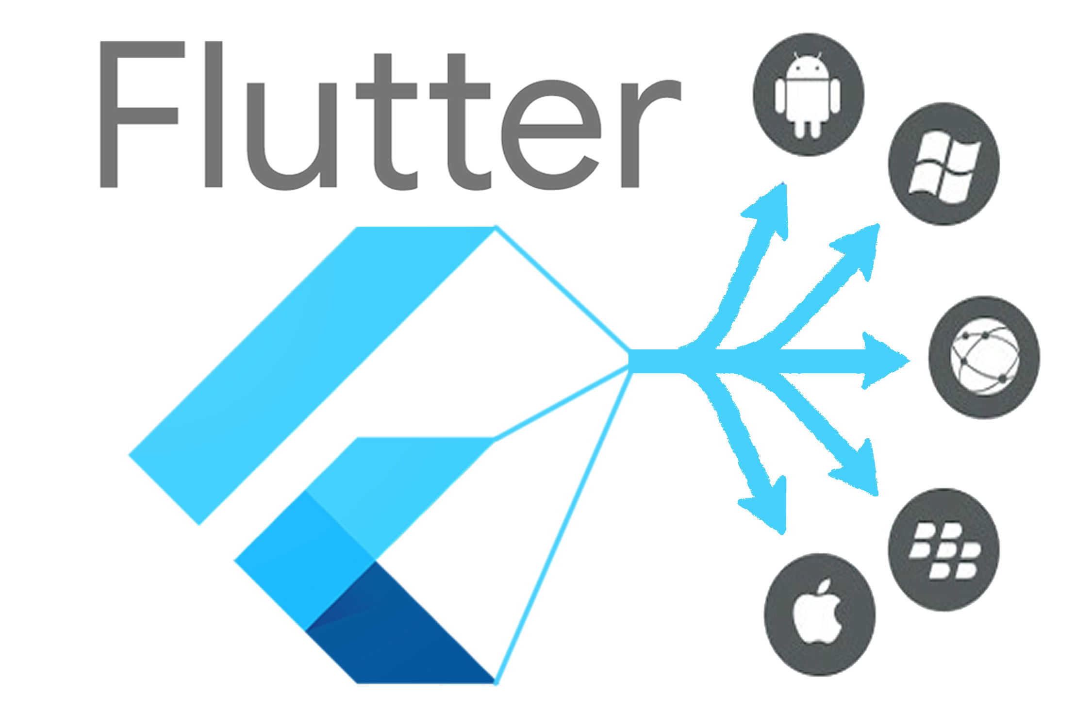 Flutter Cross-Platform Development